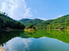 -广州白江湖森林公园