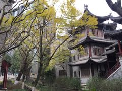 -龙潭水乡