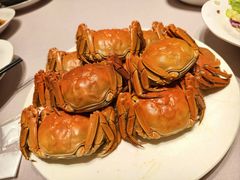 -梦都海鲜酒家(万达广场江桥店)