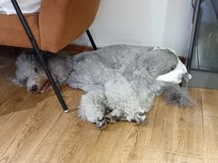 -沏点Trattoria意大利餐厅(新街口店)