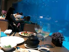 -海棠湾洲际-涛·海底餐厅·美人鱼·自助餐·海底隧道