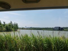 -盐城丹顶鹤湿地生态旅游区