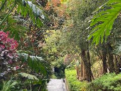 -腾冲洞山温泉村