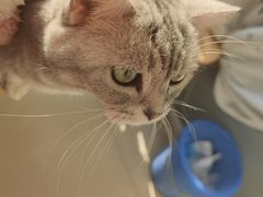 -平行世界·猫咖(首经贸店)