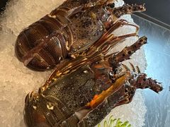 -海月轩海鲜豆捞(紫金塔店)