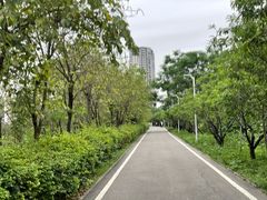 -广东花都湖国家湿地公园