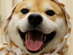 -幸福西饼生日蛋糕·下午茶(闵行店)