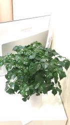 -郡艺医疗美容·微整·眼鼻吸脂