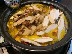 -蘑统田下·野生菌火锅