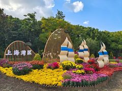 -上海共青森林公园