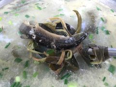 -盘龙黄鳝(盘龙居店)