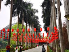 -星湖旅游景区七星岩