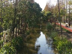 -上海长兴岛郊野公园