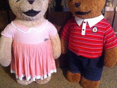 -济州岛泰迪熊博物馆