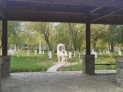 -燕郊植物园