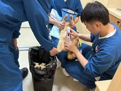 -爱派特动物医院·全科诊疗中心