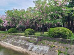 -东平国家森林公园