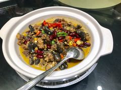 红腰豆焖乌龟-茶叁酒肆·楚味江湖(菱角湖店)