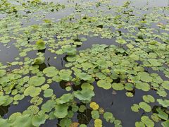 -小王府(什刹海店)