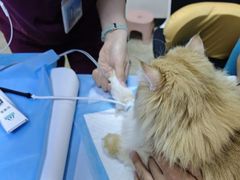 -美联众合动物医院·24h转诊中心