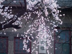 -山东大学(趵突泉校区)