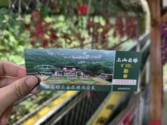 -仙岛湖旅游风景区