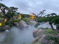 -罗红摄影艺术馆