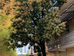-广州市紫泥堂文化创意园景区