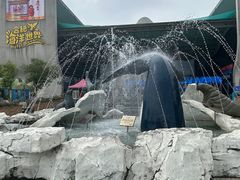 -合肥海洋世界