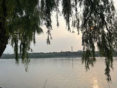 -长春市南湖公园