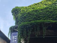 -舌尖葱包烩