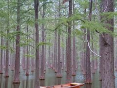 -渌洋湖湿地公园