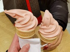 -麦当劳(新王府井店)