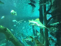 -福州罗源湾海洋世界旅游区