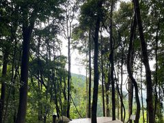 -广州市帽峰山景区