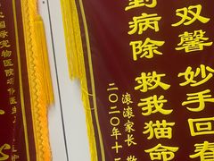 -中农国际动物医院24小时·猫科·骨科·急重症中心