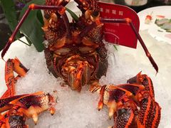 -协成海鲜火锅(海洋花园店)
