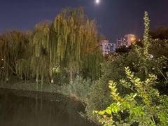 -南翠屏公园