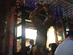 -型男美蛙烤牛蛙(南长街店)