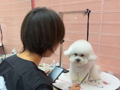 -FAELING PETS美天灵宠物(合生汇店)