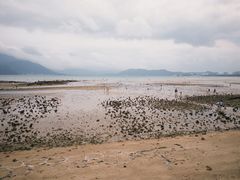 -鹏城人家海鲜酒家·23年老字号(较场尾店)
