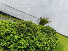 -蜜雪冰城(梅花园佳润广场店)