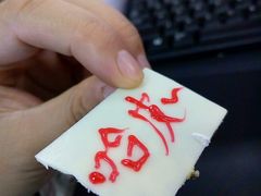 -维尔纳斯·生日蛋糕动物奶油冰淇淋蛋糕(人大店)
