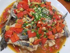 -全乐鱼馆·淳牌有机鱼直营店