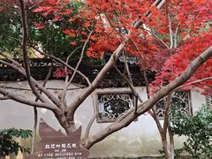 -虞山风景区