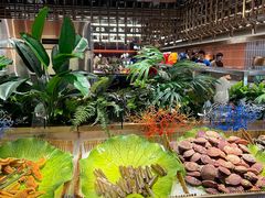 -鼎香缘海鲜自助火锅烤肉(锦辉购物广场店)