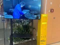 -嗲嗲的椰子鸡・太琼糟粕醋(上海百联又一城店)
