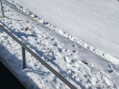 -大别山南武当滑雪场