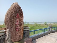 -合肥滨湖国家森林公园