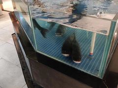 -绿杨春·淮扬宴(庐山路店)